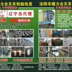 沈阳市德力合叉车配件叉车轮胎批发